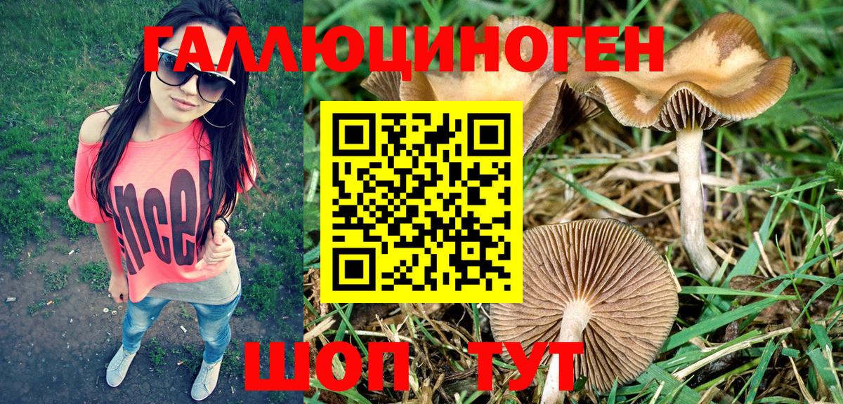 Псилоцибиновые грибы прущие грибы  Галлюциногенные грибы Psilocybe  Вход с VPN  Барнаул 