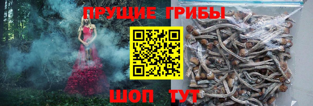 Галлюциногенные грибы мухоморы Барнаул
