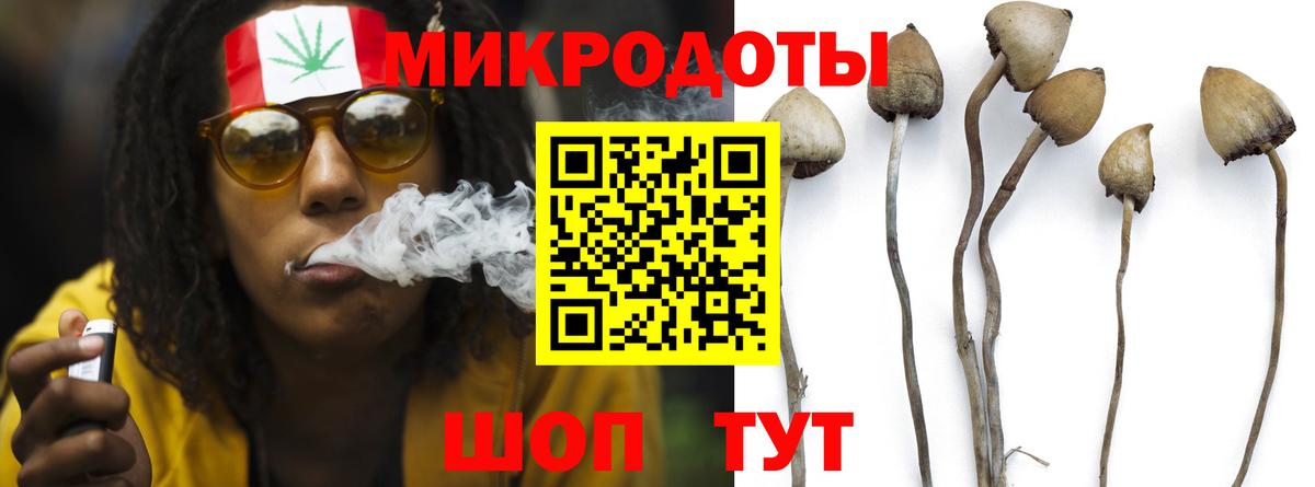 NBOMe Барнаул